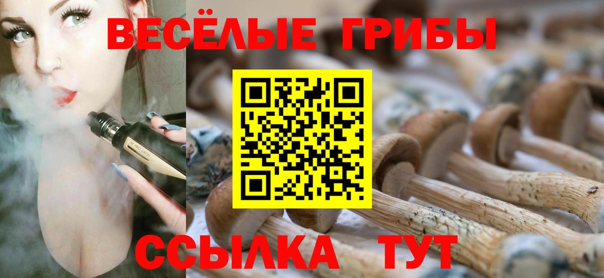 Псилоцибиновые грибы мухоморы  Вход с VPN  Солнечногорск 